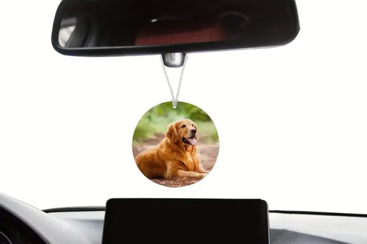ScentiMe – Custom Photo Air Freshener for Car/Home